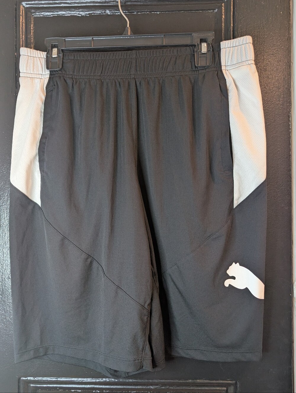 Puma Shorts Dry Cell Men's BRAND NEW